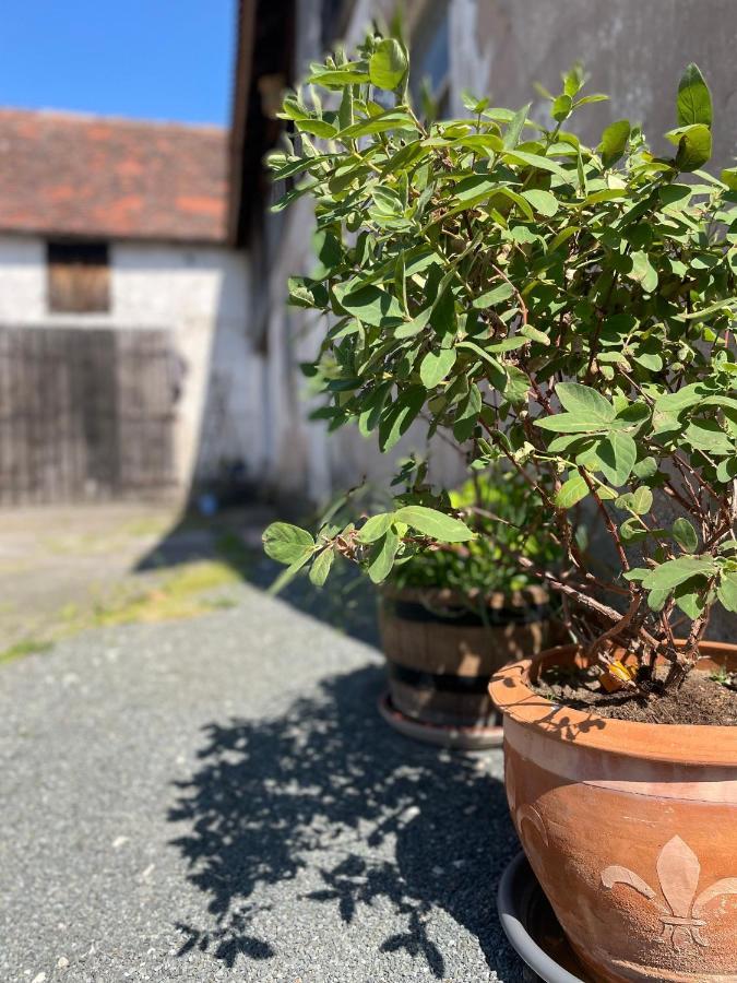 Schnaid Im Glueck Lägenhet Hallerndorf Exteriör bild